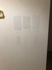 Help choosing wall paint and carpet colour