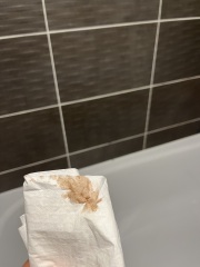 Help! What to do?