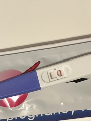 10dpo pregnancy tests
