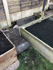 What have you done in the garden today Part 4 Spring 2024.