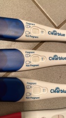 Evap or faint line 12DPO