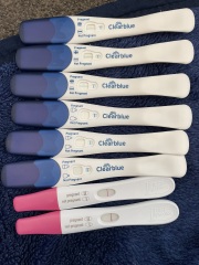 Potentially pregnant