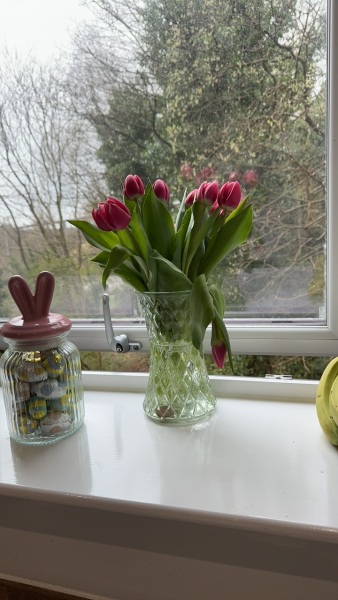 How to save my tulips?