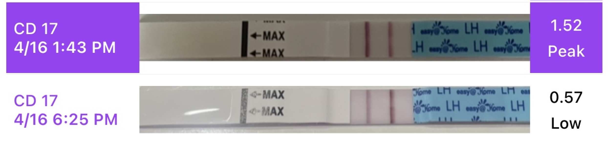 TTC 2024 - New Year Babies