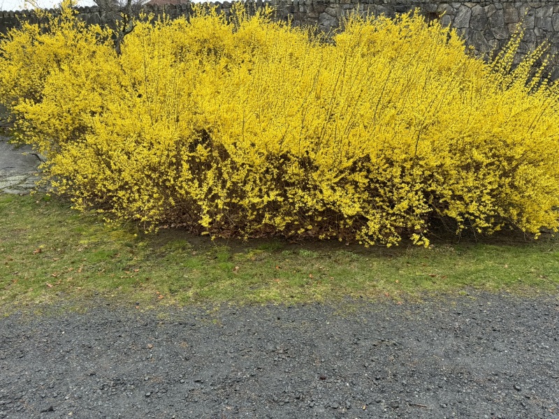 Come and tell me your dull and unexciting news 29: Calmly through the day