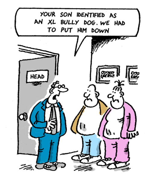 Is this an XL Bully?