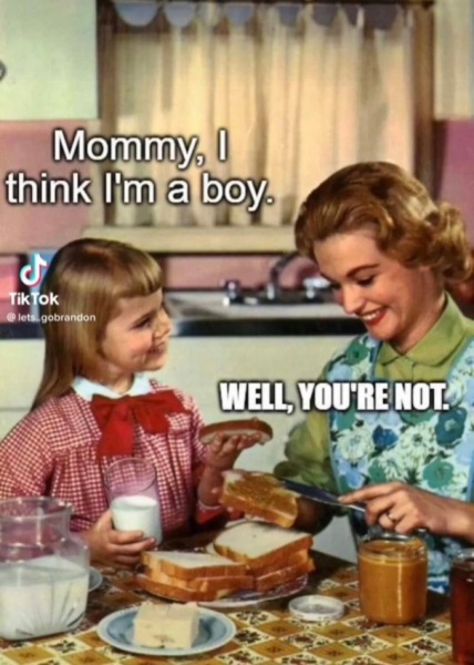 My DS wants to be a girl