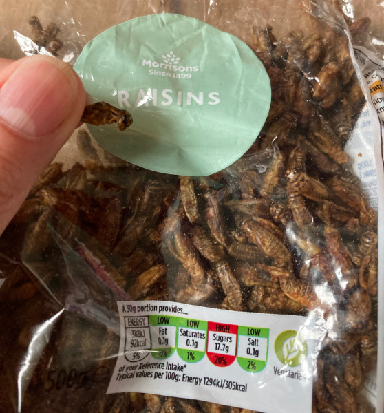 Thread 12 - TalkLair: “I say we take off and nuke the entire site from orbit. It's the only way to be sure.”