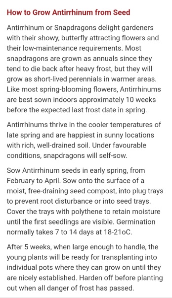 Snapdragon - too late?