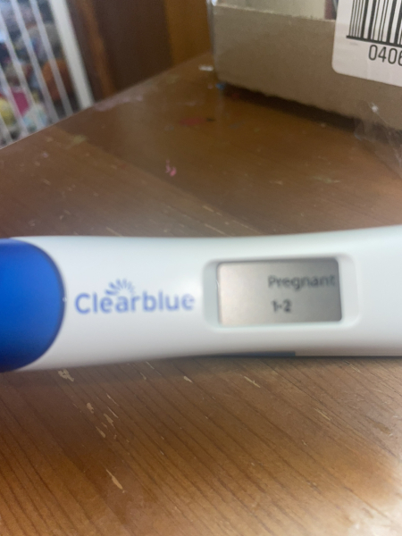 Dec-Christmas Babys 2024