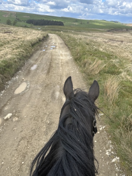 Adult new or returning riders up for a chat?