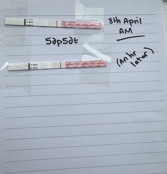5dp5dt - Line eyes please!!