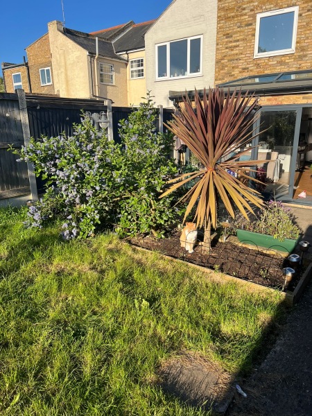 Garden design/planting