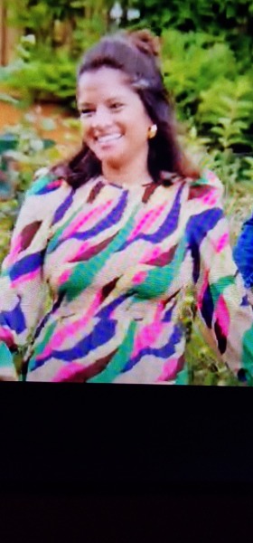 Help find this dress?