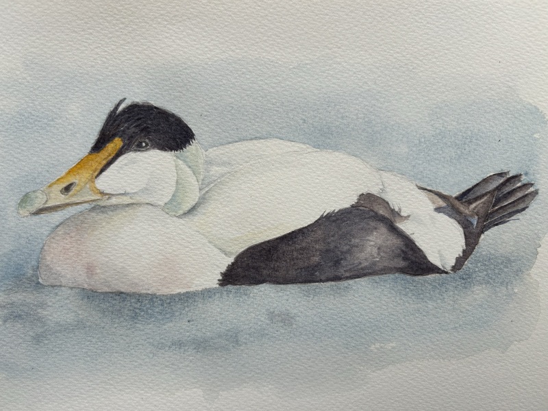 All the p-Arty People - Thread #1