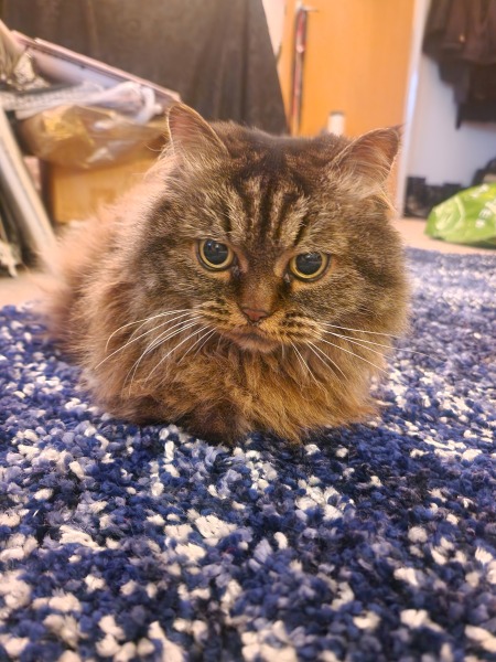 Meet Ralph
