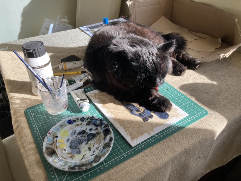 Machiavellian Misbehaviour- the Excellent Cats Deny Everything