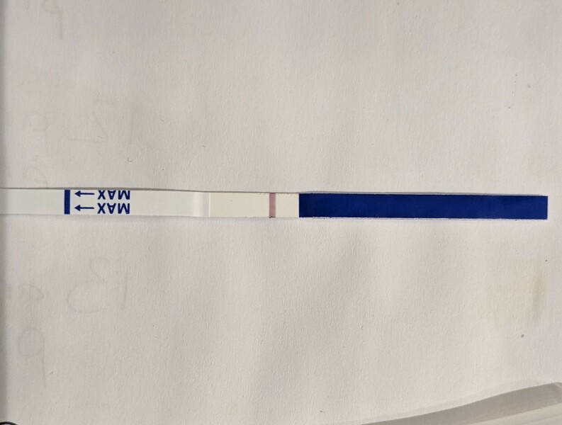 1dpo buddies