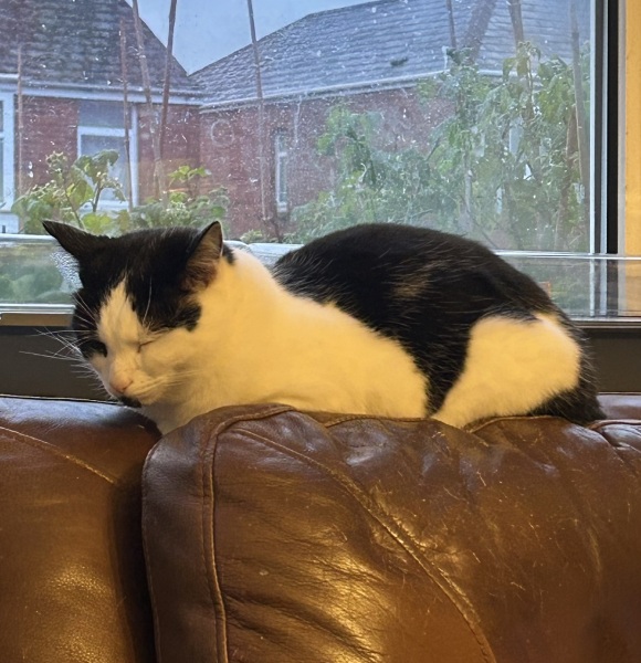 Expressions of noble disappointment please