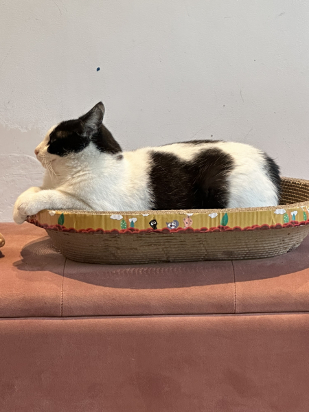 We adopted today!