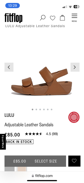 Archies, Fitflops or Bjorgk? Flip flops or sliders