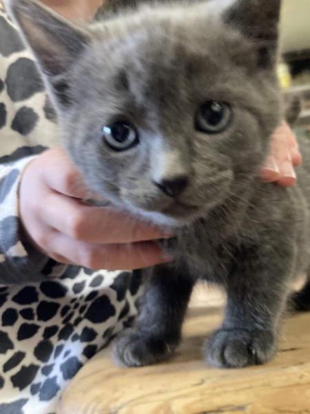 Meet Ralph