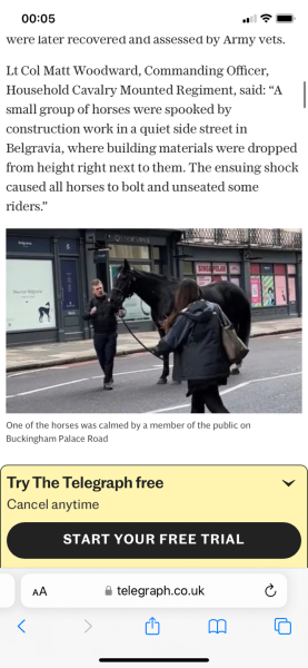 Horses Running Free in Central London