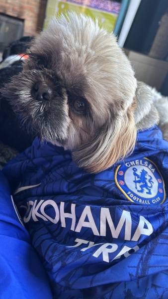 Chelsea v Man City....