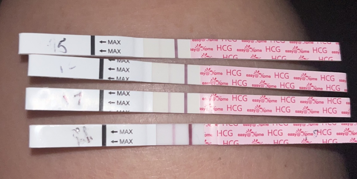 Early Pregnancy under Dr Shehata CRP Clinic