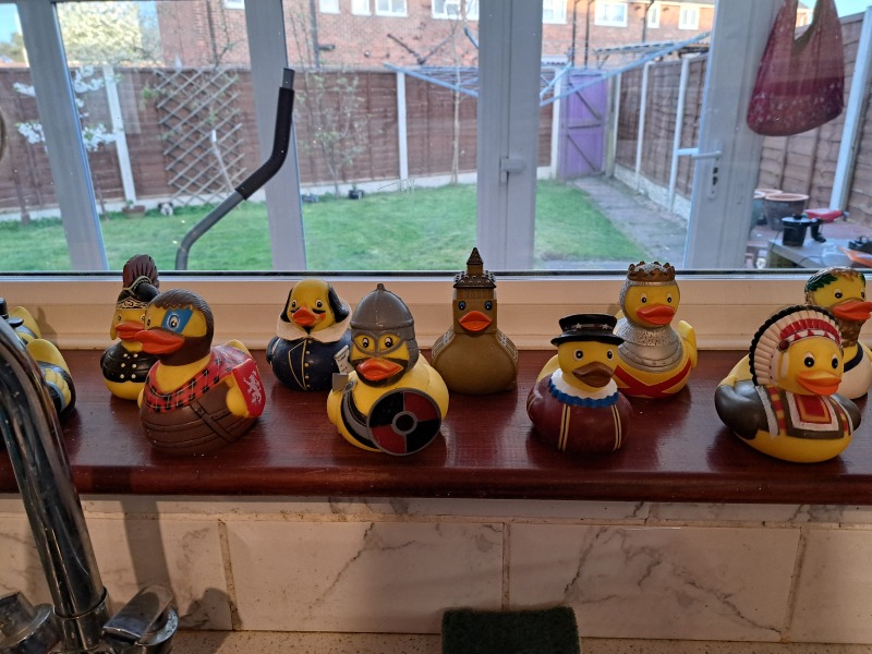 Anyone bought a rubber duck?