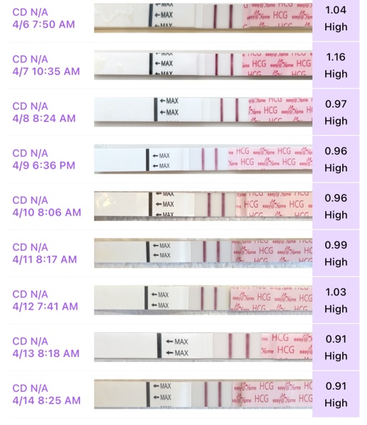 TTC after miscarriage