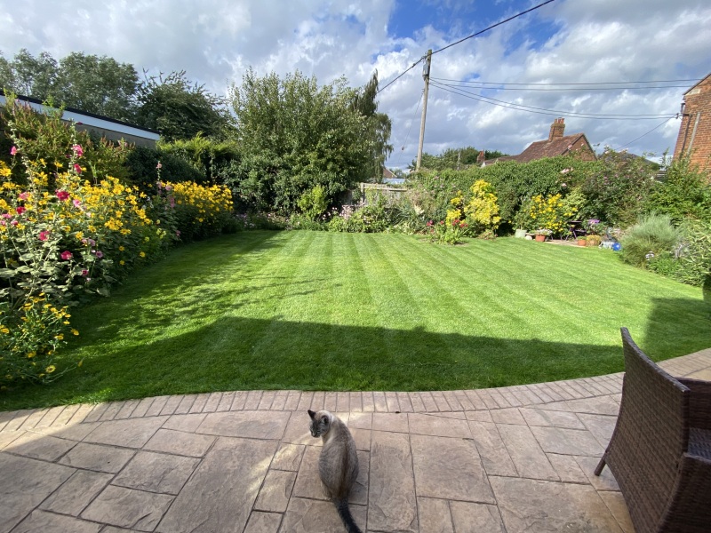 North facing garden in London?