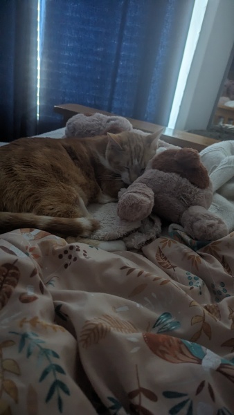 How to help my sad boy?