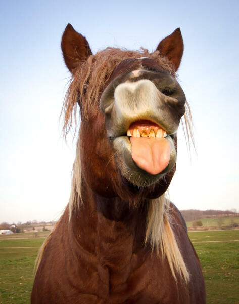 To want DH to stop sending me photos of things that displease him?