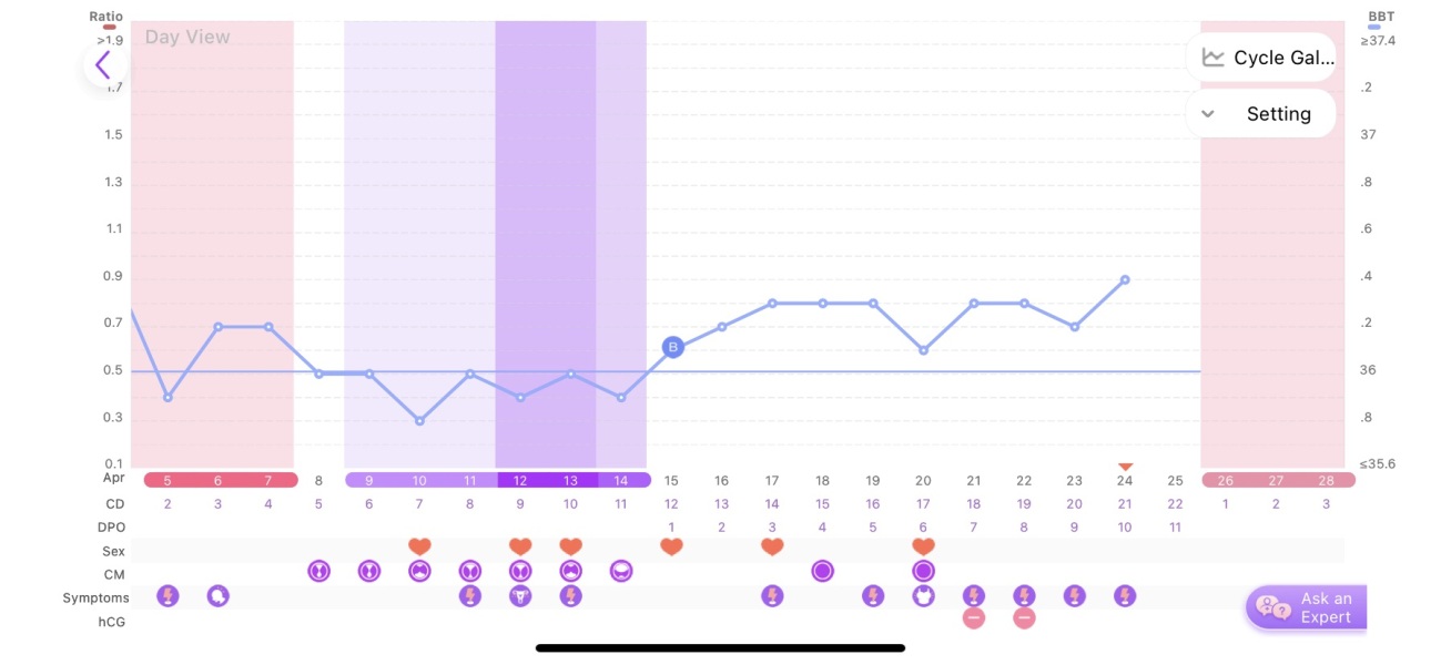 What does my BBT chart tell you??