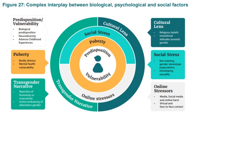 Cass review - out on Wednesday
