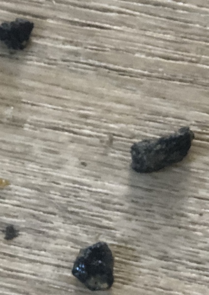 Any vets or dog experts here?! Are these dog kidney stones?