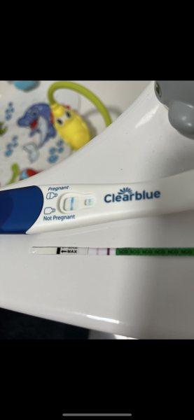 Dec-Christmas Babys 2024