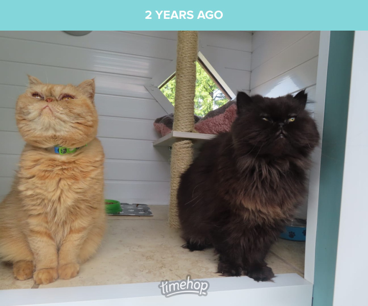 Expressions of noble disappointment please