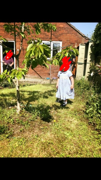 To ask stranger if I can dig up their tree in the garden?