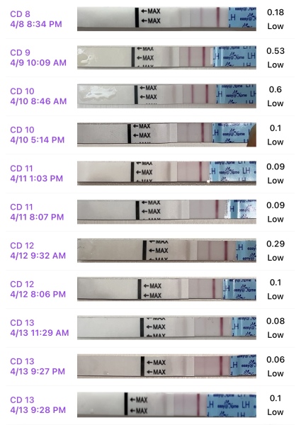 OPK help please.. first time of using
