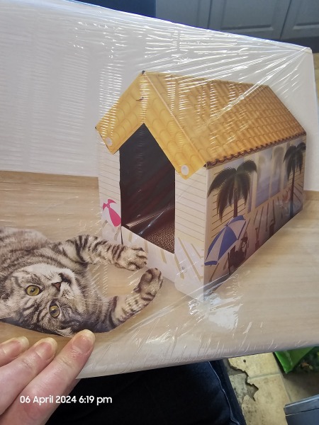 What cat carriers and tree houses/scratch posts do you all have?