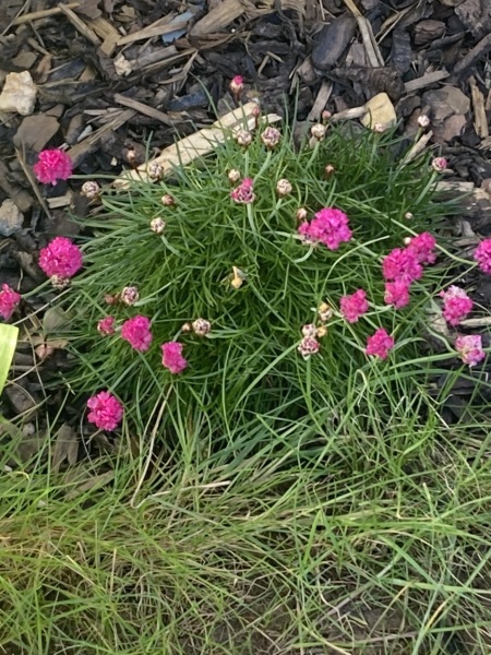 Can anyone tell me what this