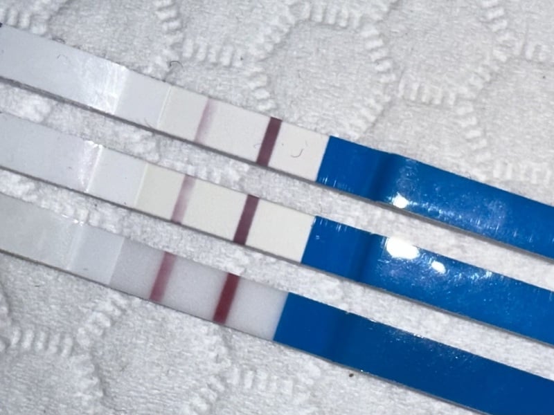 Dec-Christmas Babys 2024