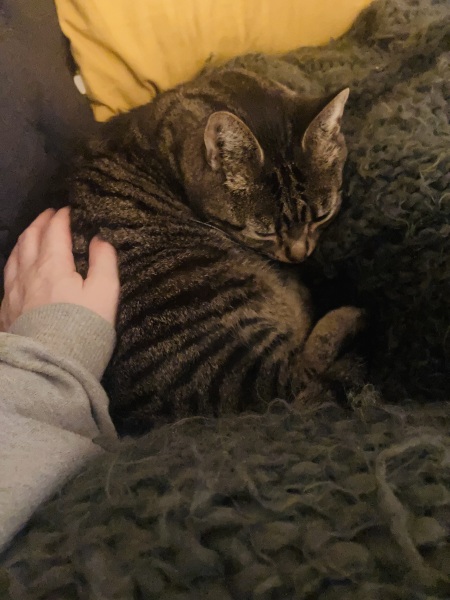 Meet Ralph