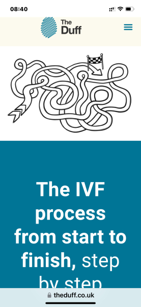 Talk me through IVF