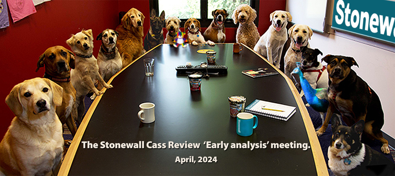 Stonewall admit they didn't understand.