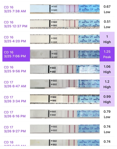 Ovulation question