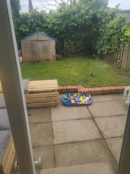 Please tell me what to do with my small garden?