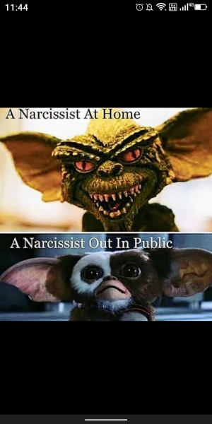 I don't normally post memes but liked this narc one
